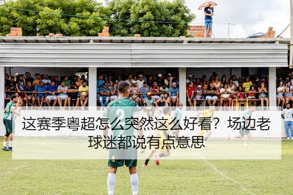 这赛季粤超怎么突然这么好看？场边老球迷都说有点意思